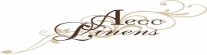 Affordable Elegance Chair Covers & Linens